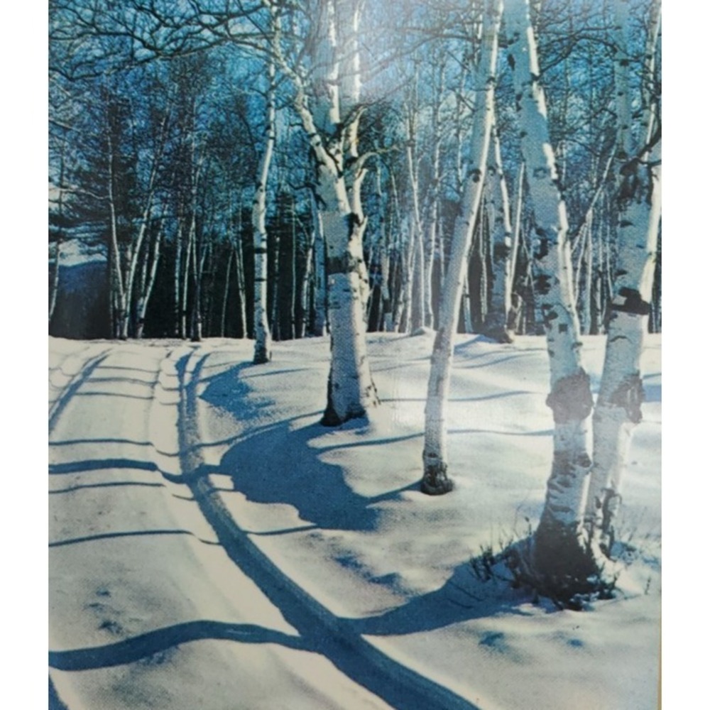 11 Old Vintage Used Christmas Card Fronts for Crafts Winter Snow Country Woods - Picture 7 of 16